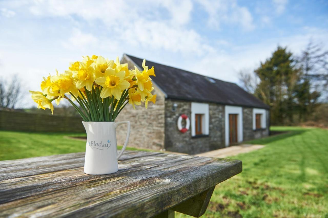 Penuwch Boathouse- Lakeside Rural Cottage Ideal For Families With Indoor Heated Pool Кармартен Экстерьер фото